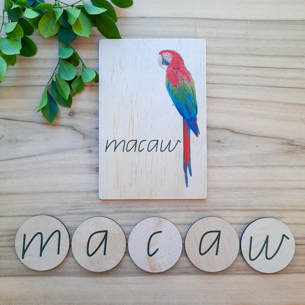alphabet uppercase/lowercase reverse - story tellers