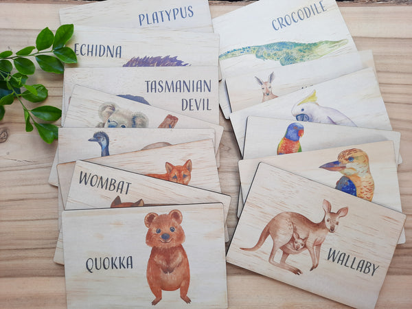Australian Animals - flash cards