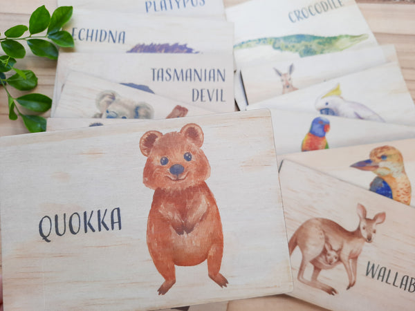Australian Animals - flash cards