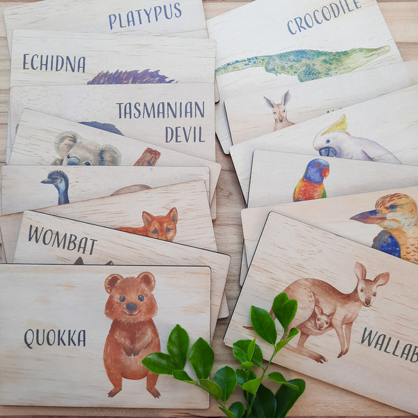 Australian Animals - flash cards