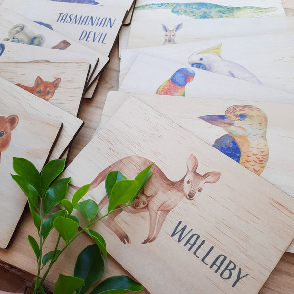 Australian Animals - flash cards