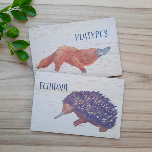 Australian Animals - flash cards