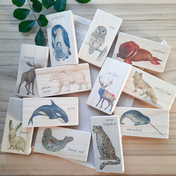 arctic animals - small world blocks