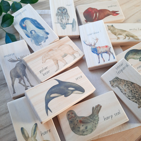 arctic animals - small world blocks