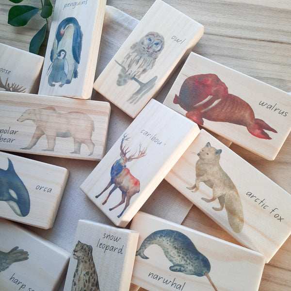 arctic animals - small world blocks