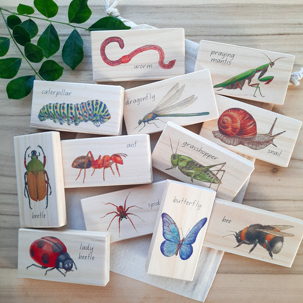 minibeasts - small world blocks