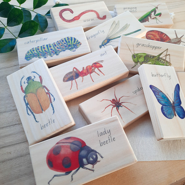 minibeasts - small world blocks