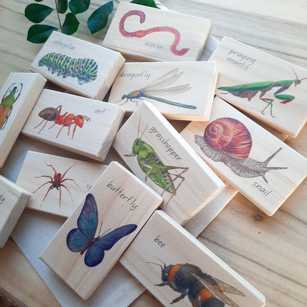 minibeasts - small world blocks