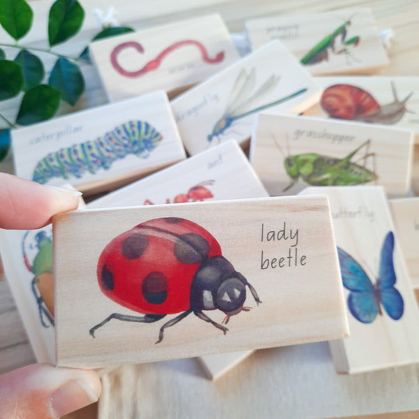 minibeasts - small world blocks