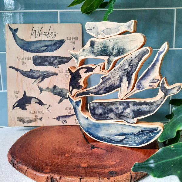 Whale Wonderland