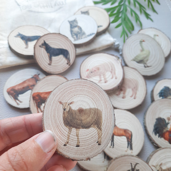 farm animals real life - memory match