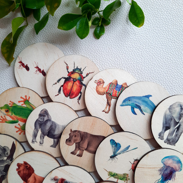 Alphabet Animals - Story Tellers