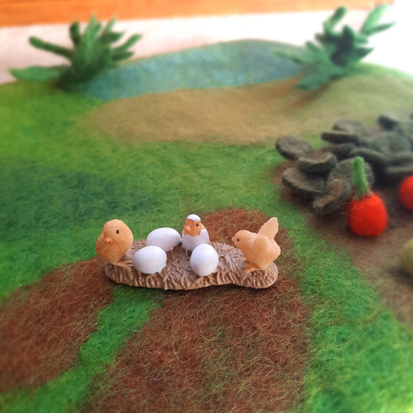 Chicks Hatching
