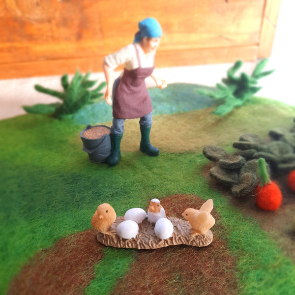 Chicks Hatching