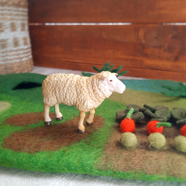 Sheep