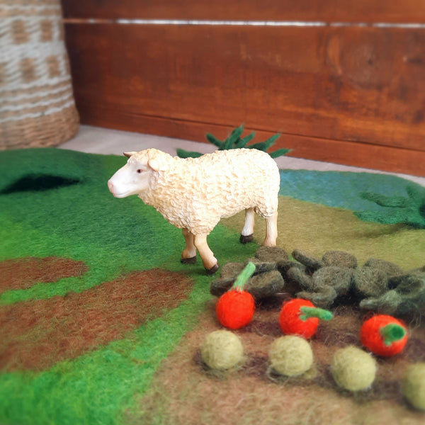 Sheep