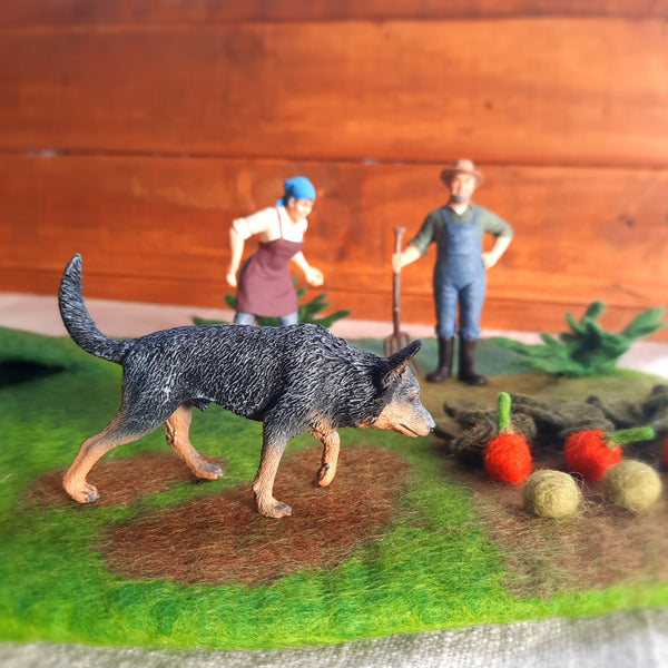 Cattle Dog