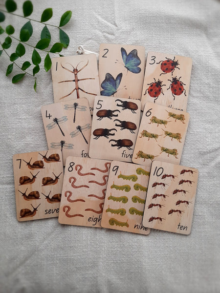 1-10 Minibeasts - Mini Flash Cards