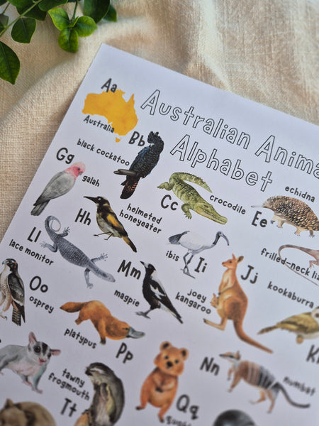 Australian Animal Alphabet - Printable