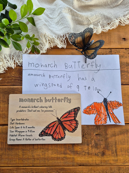 Monarch Butterfly - Info Card