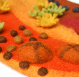 Australian Outback Small Felt Play Mat