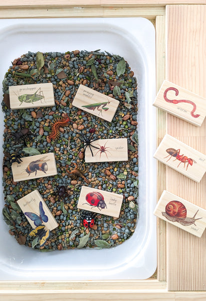 minibeasts - small world blocks