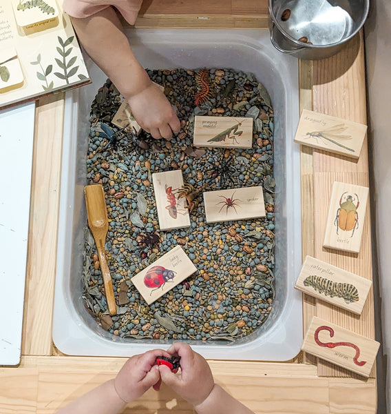 minibeasts - small world blocks