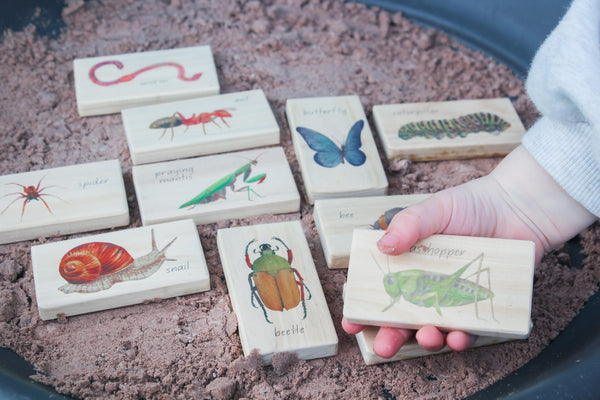 minibeasts - small world blocks