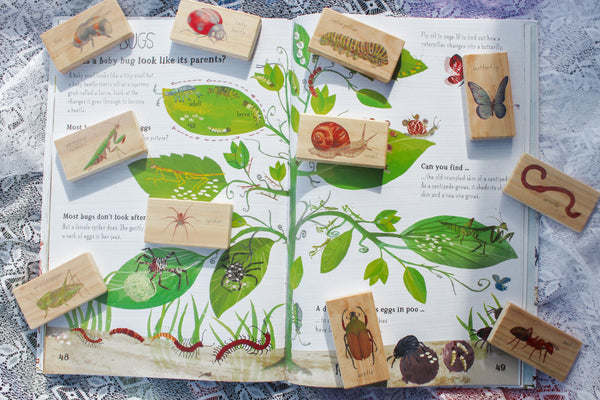 minibeasts - small world blocks