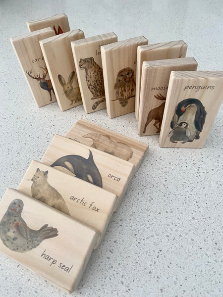 arctic animals - small world blocks