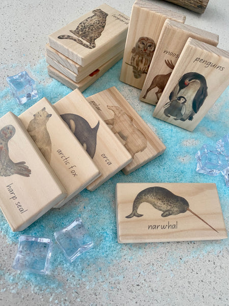 arctic animals - small world blocks