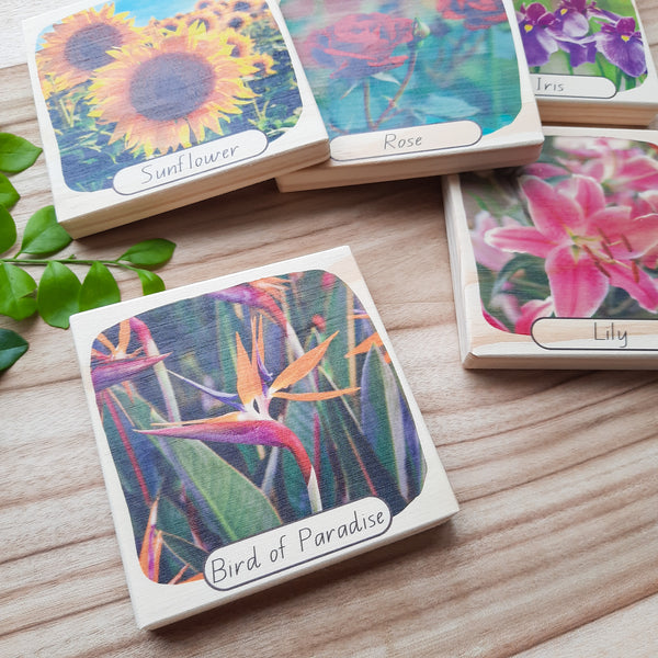 beautiful blooms - picture blocks
