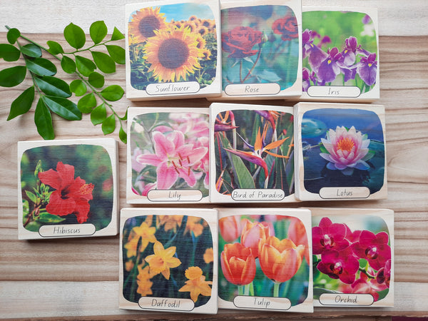 beautiful blooms - picture blocks