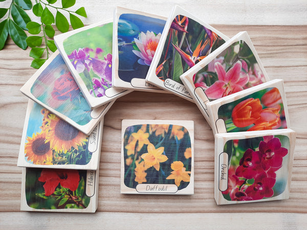 beautiful blooms - picture blocks