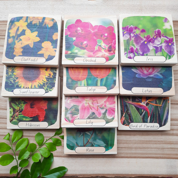 beautiful blooms - picture blocks