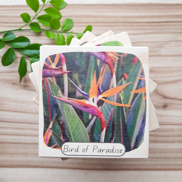 beautiful blooms - picture blocks
