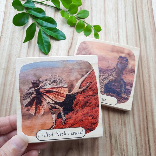 aussie bushland animals - picture blocks