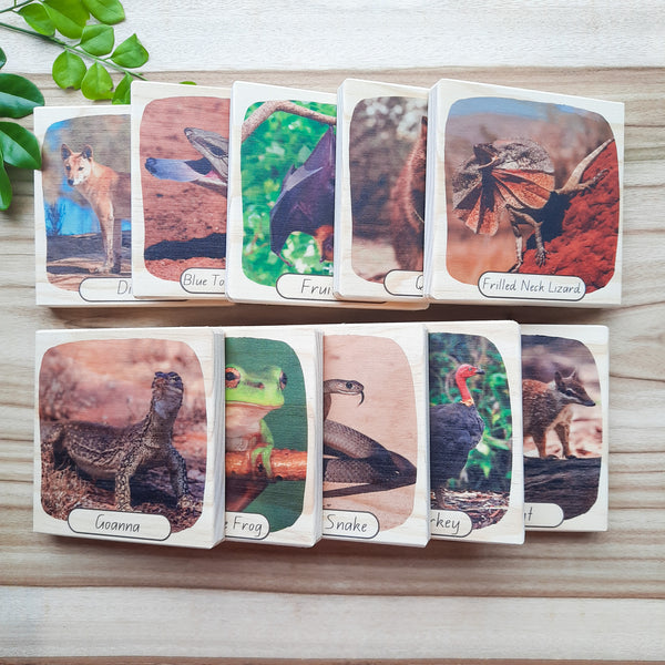 aussie bushland animals - picture blocks