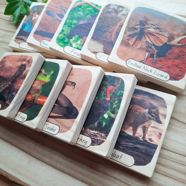 aussie bushland animals - picture blocks