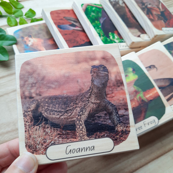 aussie bushland animals - picture blocks