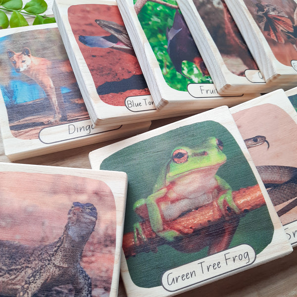 aussie bushland animals - picture blocks