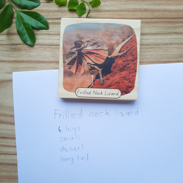 aussie bushland animals - picture blocks