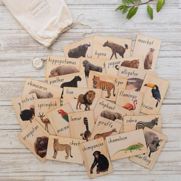 jungle animals - flash cards