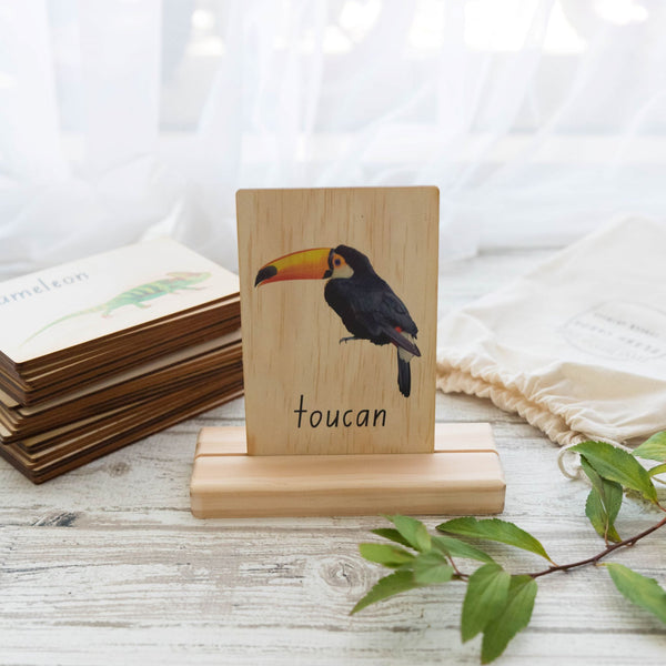 jungle animals - flash cards