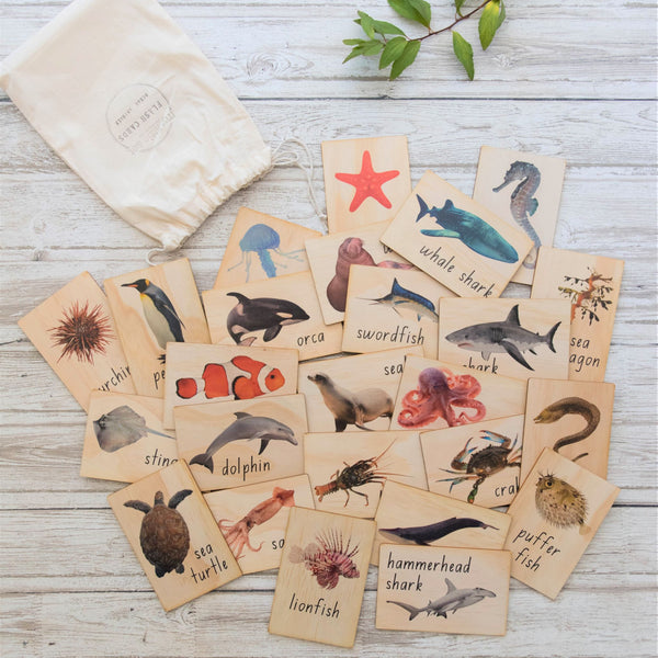 ocean animals - flash cards