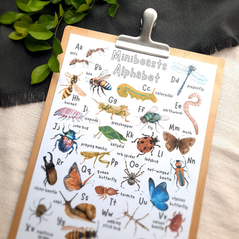 Minibeasts Alphabet - Printable