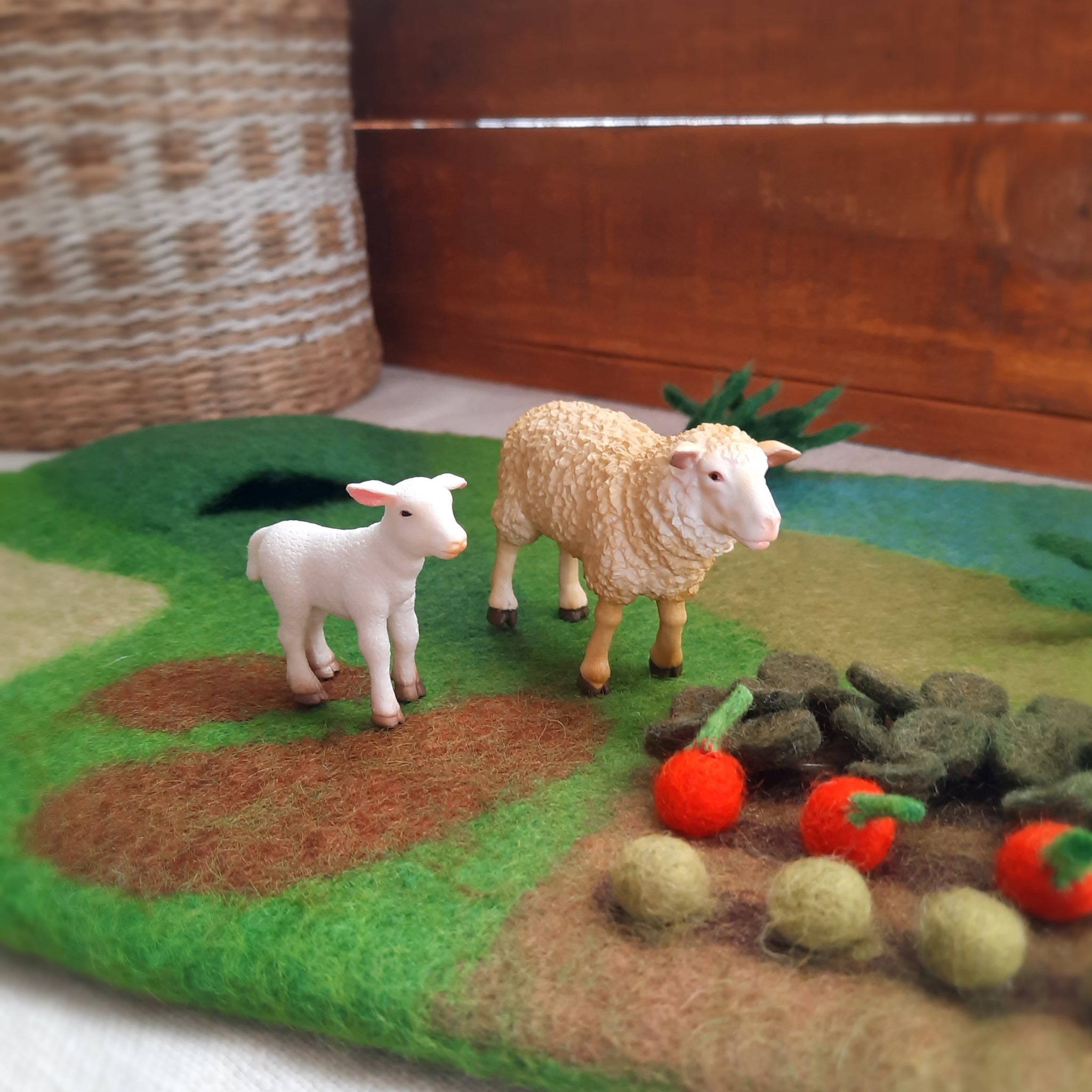 Sheep Family