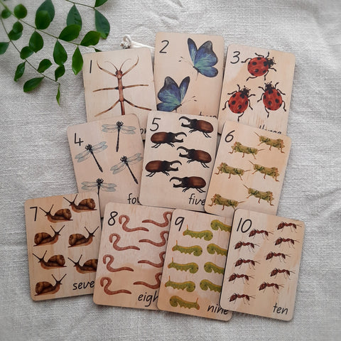 1-10 Minibeasts - Mini Flash Cards