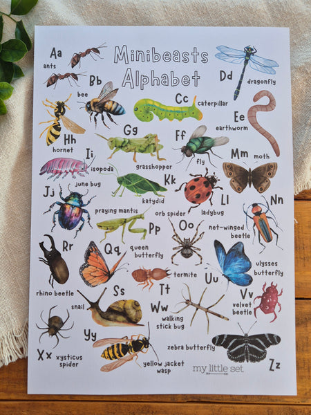 Minibeasts Alphabet - Printable