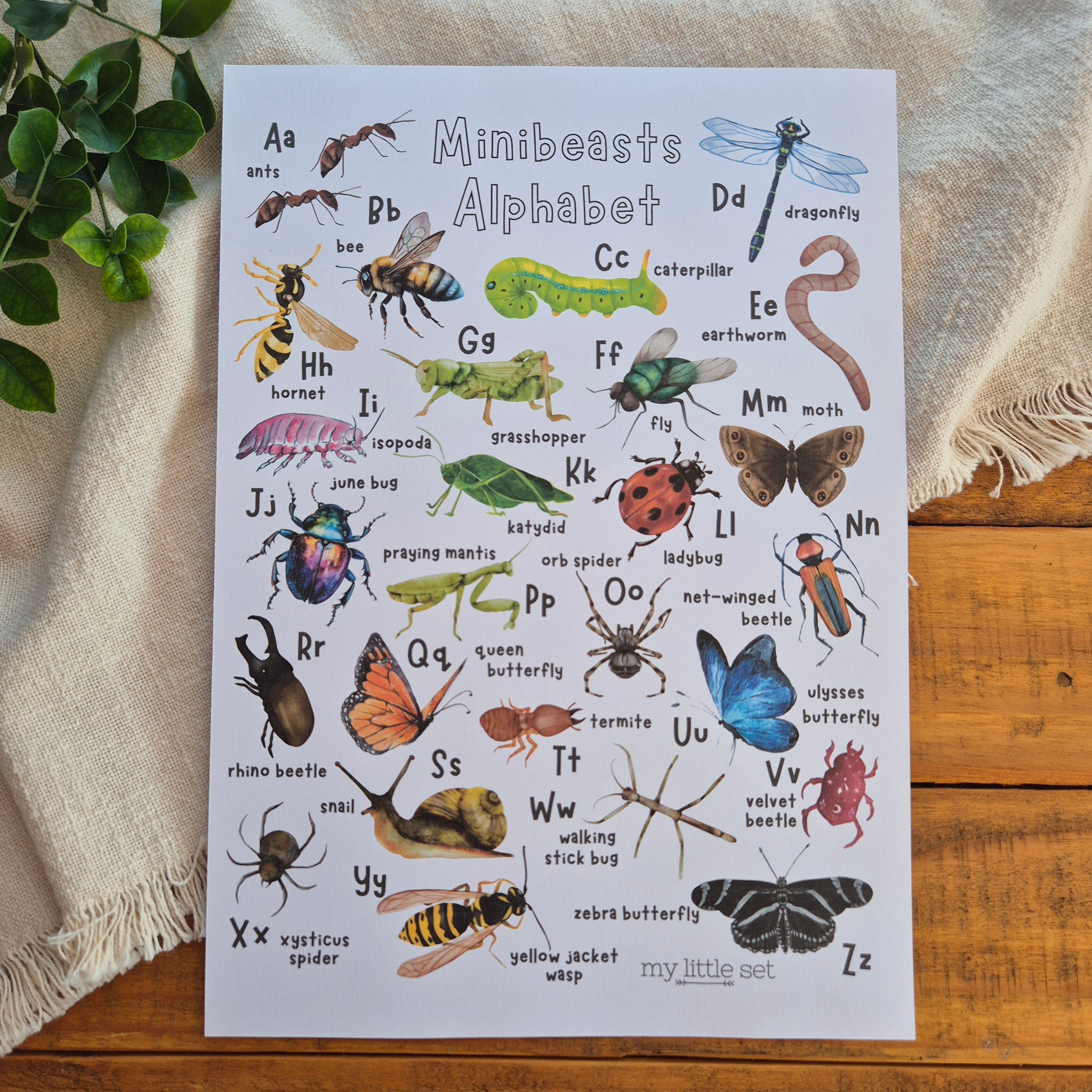 Minibeasts Alphabet - Printable